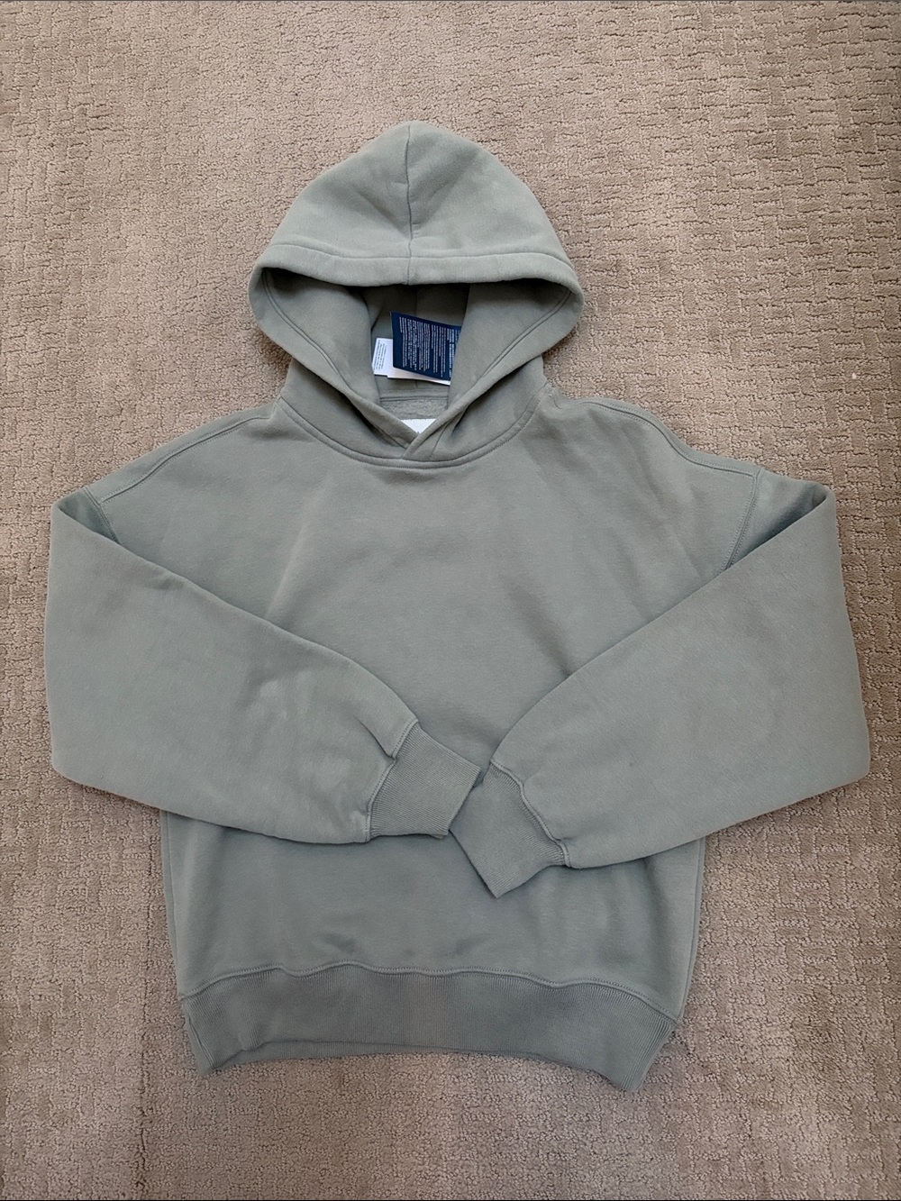 Abercrombie & Fitch Sage Green Women's Hoodie sweatshirt nwt new soft A&F XS
